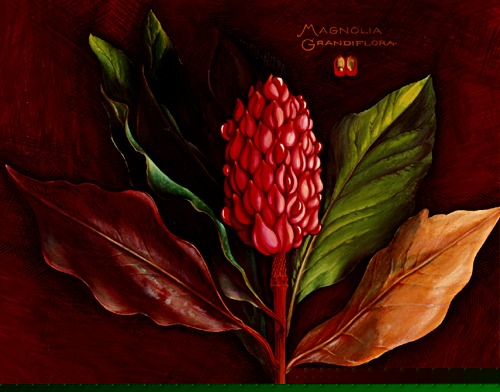 This site contains botanical illustrations.