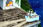 Jack and the Night Visitors image 1